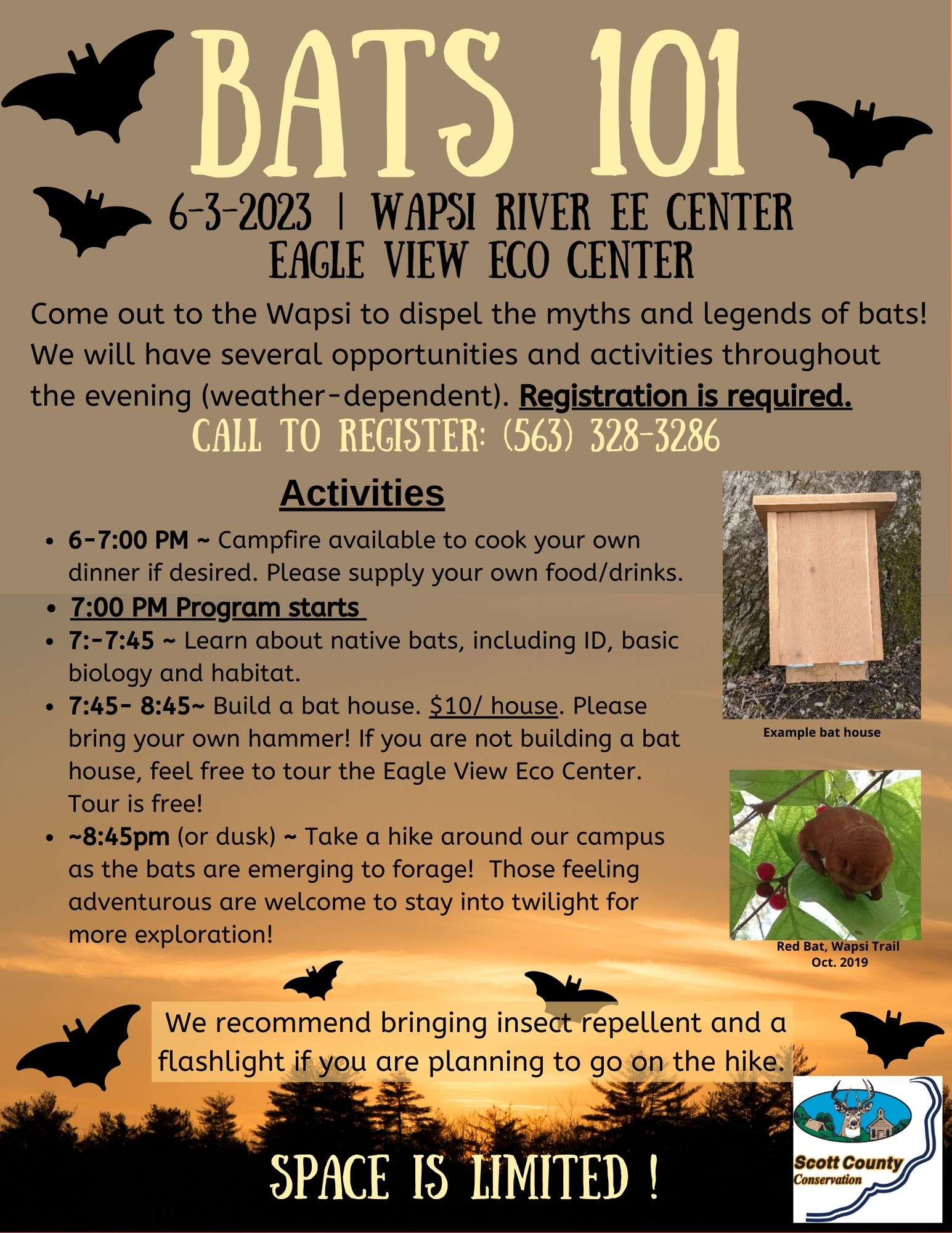 Bats 101 Scott County, Iowa